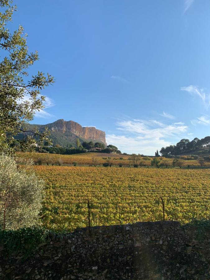 Large Private Garden, Quiet 2-Bedroom Apartment, Air Conditioning, Wifi, Parking Cassis Exterior foto